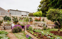 Load image into Gallery viewer, Tasmania Art Retreat 'Landscapes Week 2' 5 Nights 10 - 15 May 2026 $4290