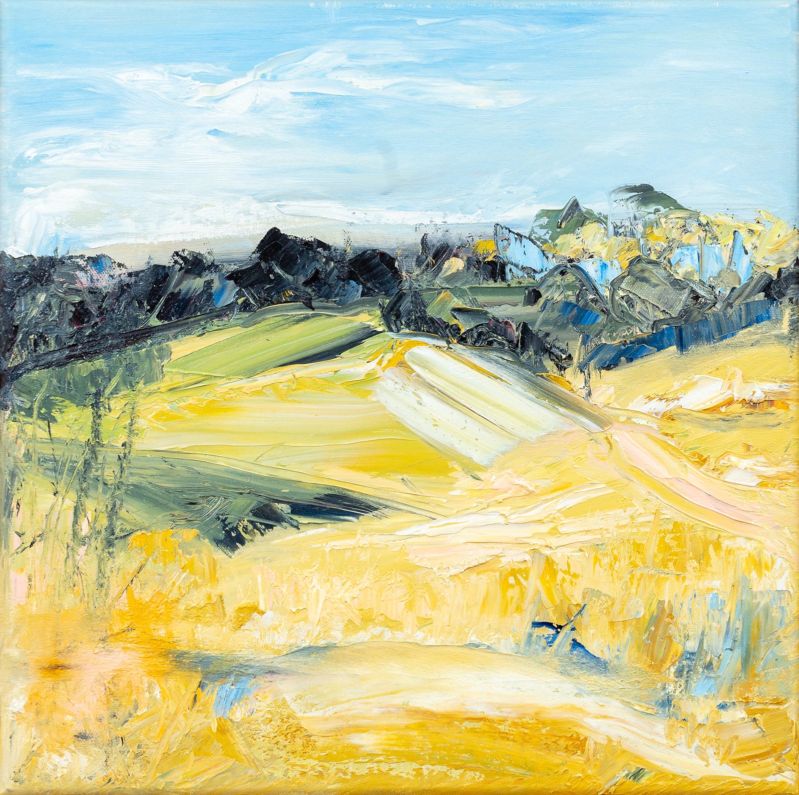 Tasmania Art Retreat  'Tassie Landscapes'  6Nights  SOLD OUT
