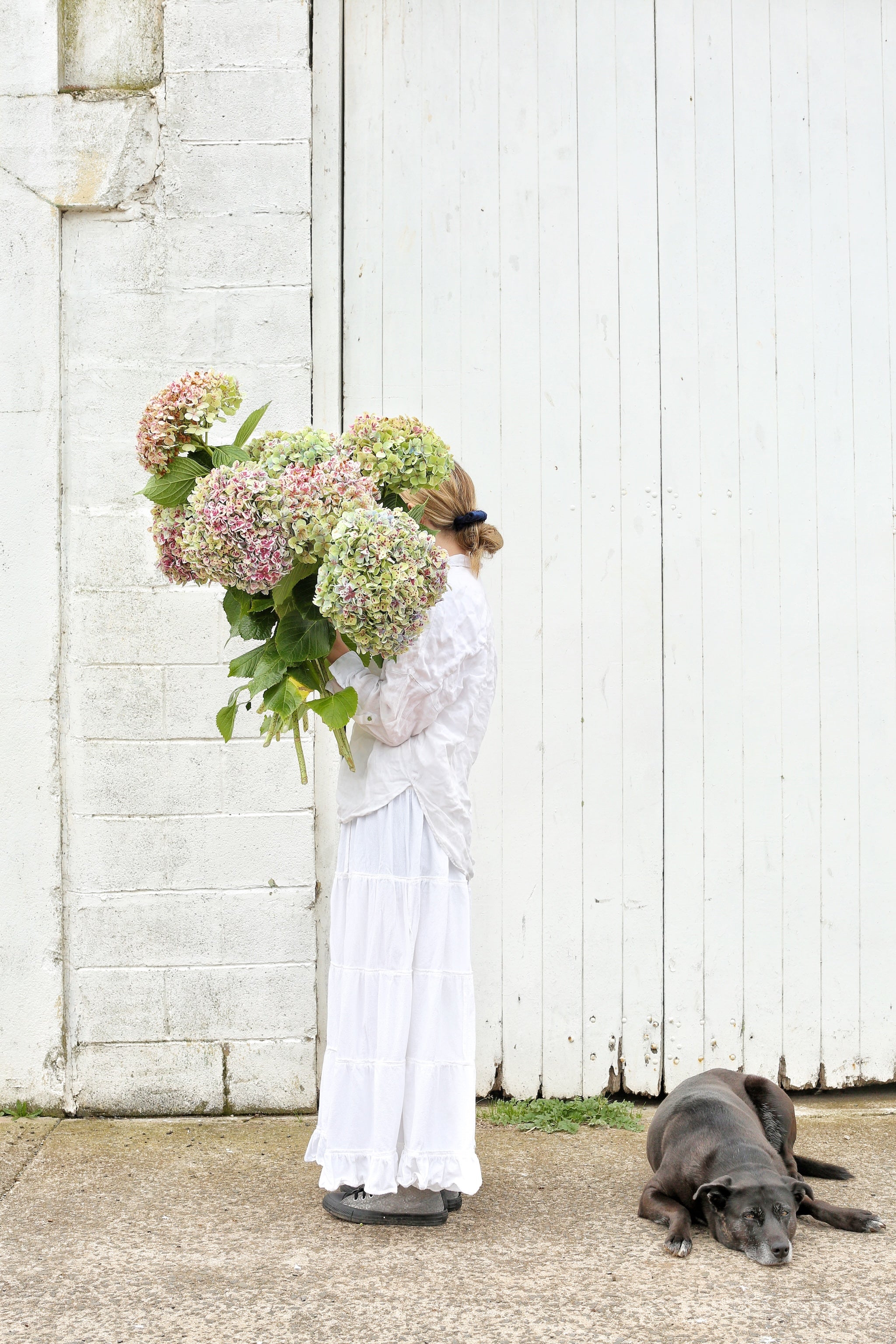 Tasmania Art Retreat  'Florals & Blooms'  6Nights 25 - 31  May 2025 SOLD OUT