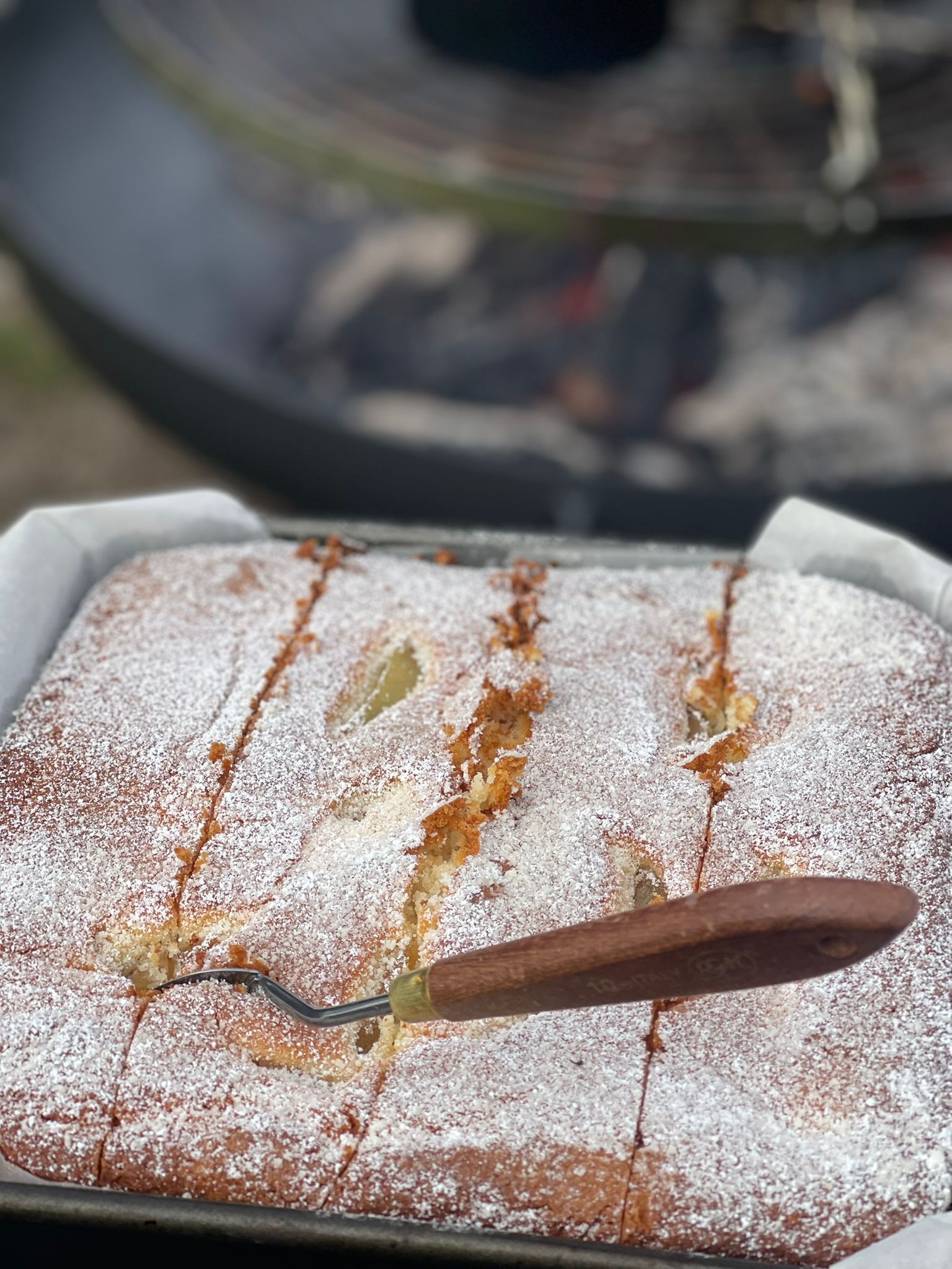 Tasmania Art Retreat  'Tassie Landscapes'  6 Nights 3 - 9 May 2026 SOLD OUT