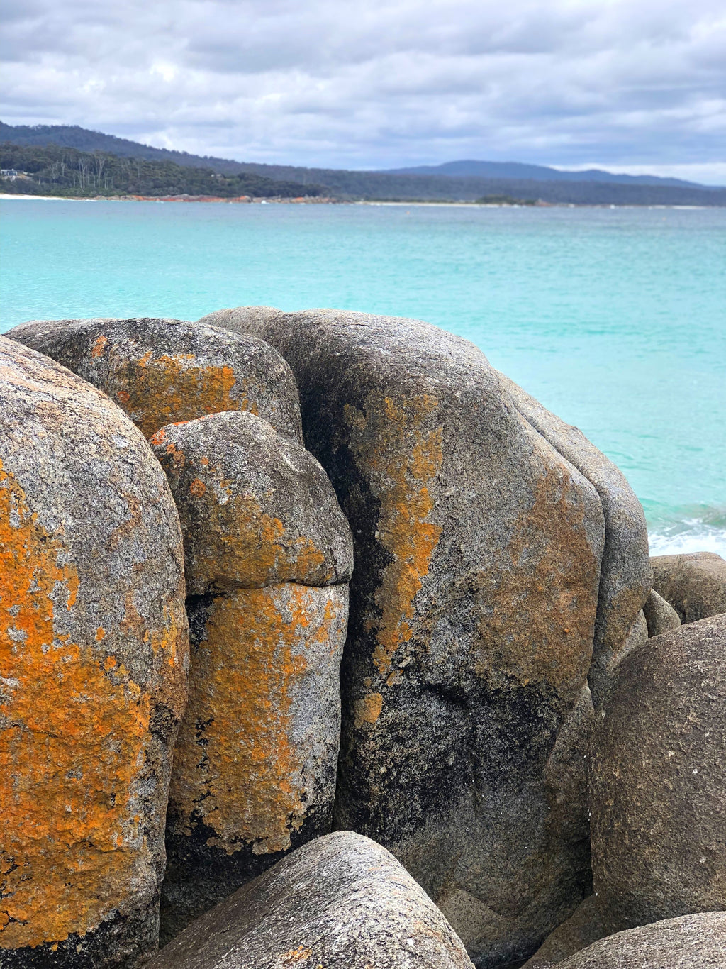 Tasmania Art Retreat  'Tassie Landscapes'  6 Nights 3 - 9 May 2026 SOLD OUT