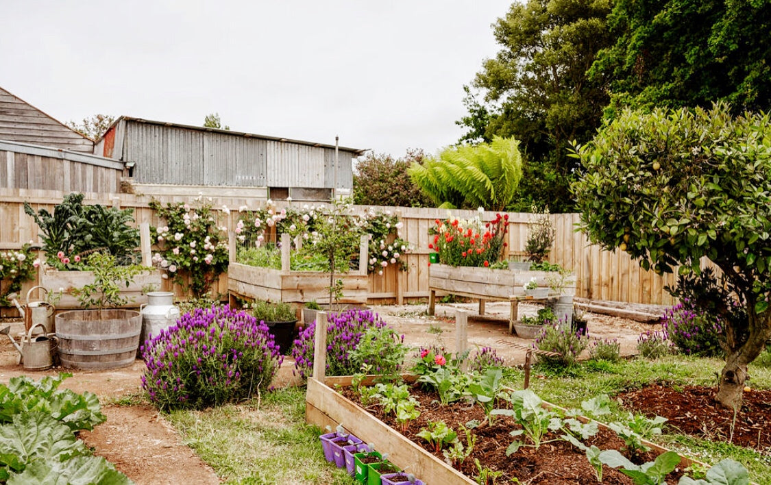 Tasmania Art Retreat  'Florals & Blooms'  6Nights 25 - 31  May 2025 SOLD OUT