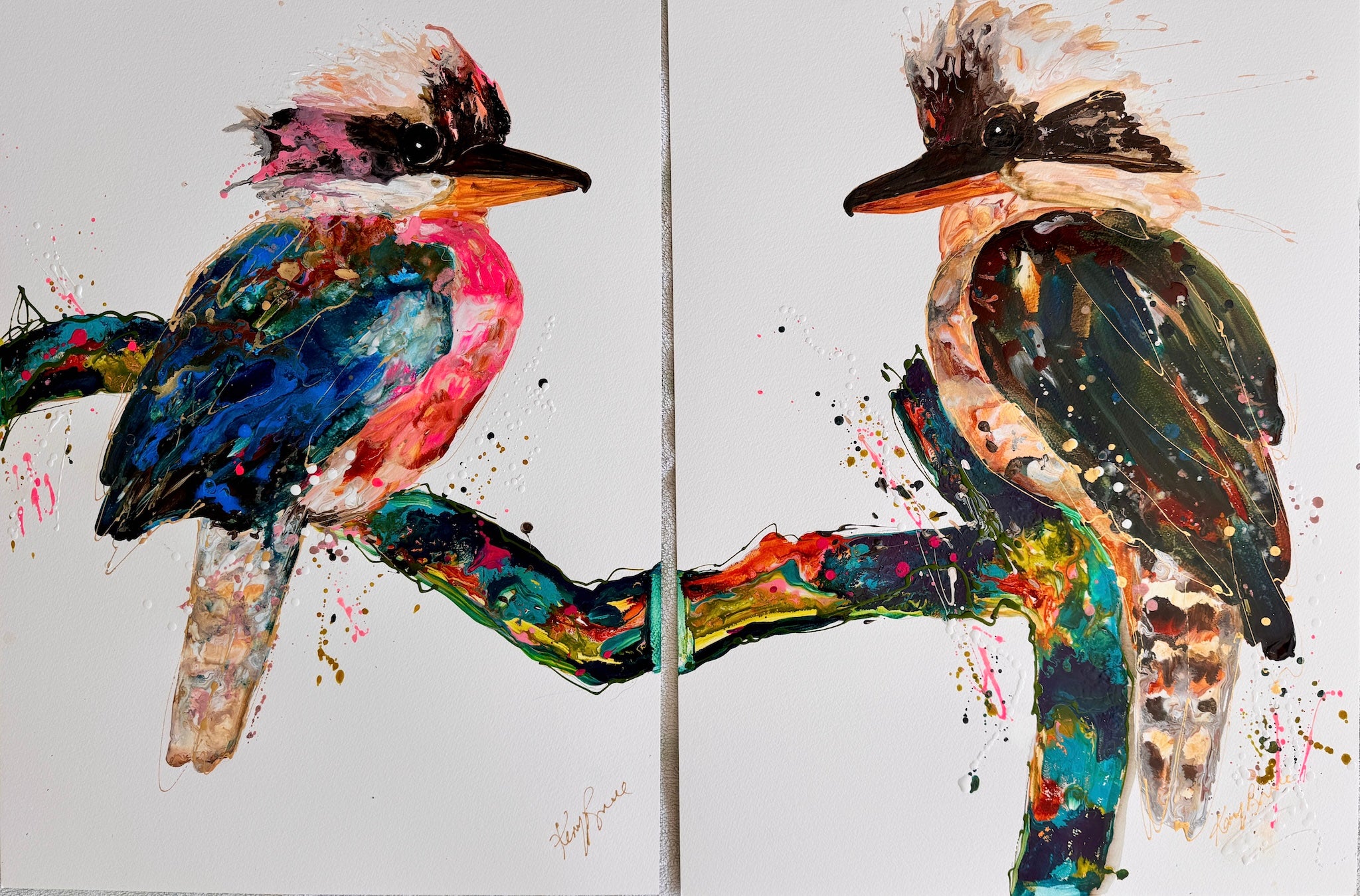 Kookaburra Commission