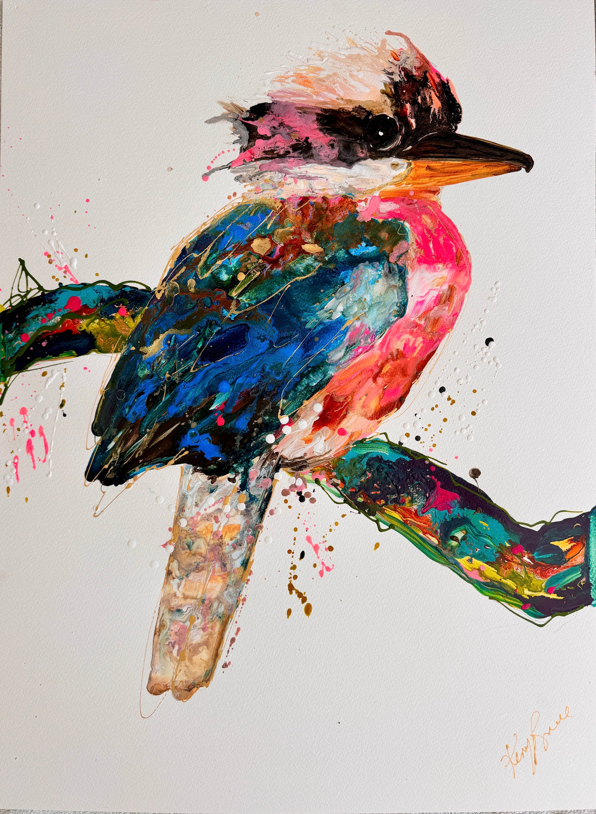 Kookaburra Commission