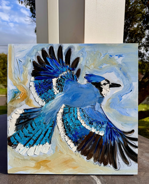 Blue Jay in Flight