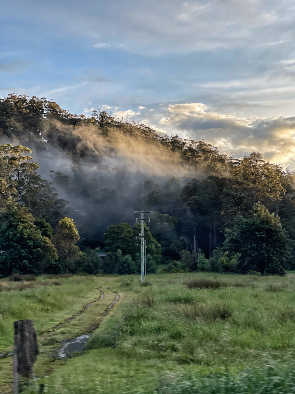 Tasmania Art Retreat  'Tassie Landscapes'  6 Nights 3 - 9 May 2026 SOLD OUT