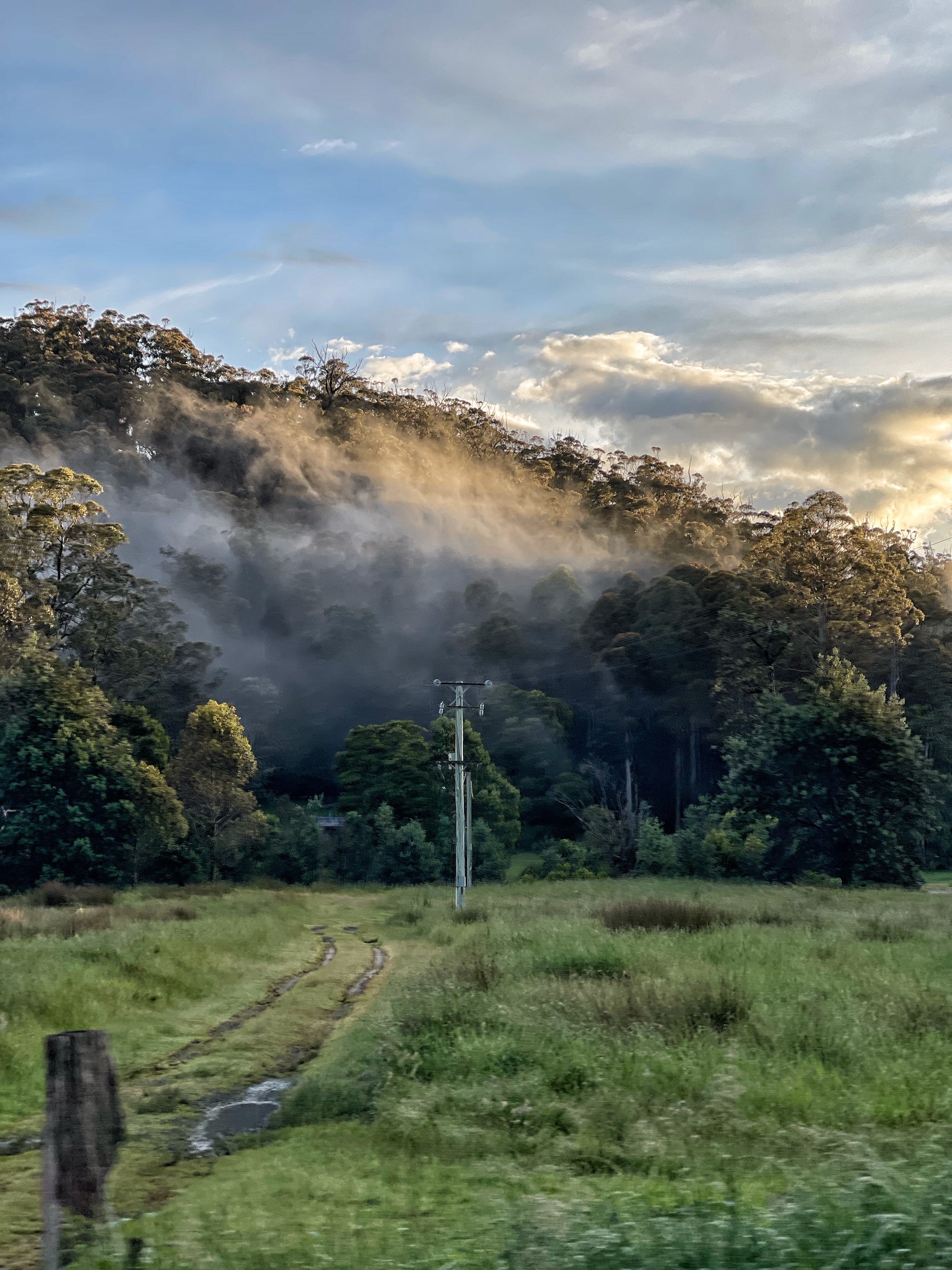 Tasmania Art Retreat  'Tassie Landscapes'  6Nights  SOLD OUT