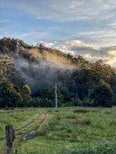 Load image into Gallery viewer, Tasmania Art Retreat  &#39;Tassie Landscapes&#39;  6Nights 18 - 24  May 2025 $3995pp SOLD OUT
