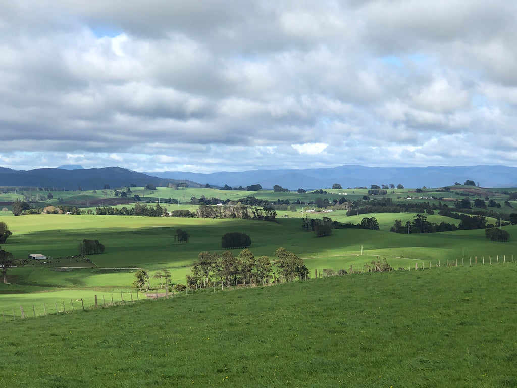 Tasmania Art Retreat  'Tassie Landscapes'  6 Nights 3 - 9 May 2026 SOLD OUT