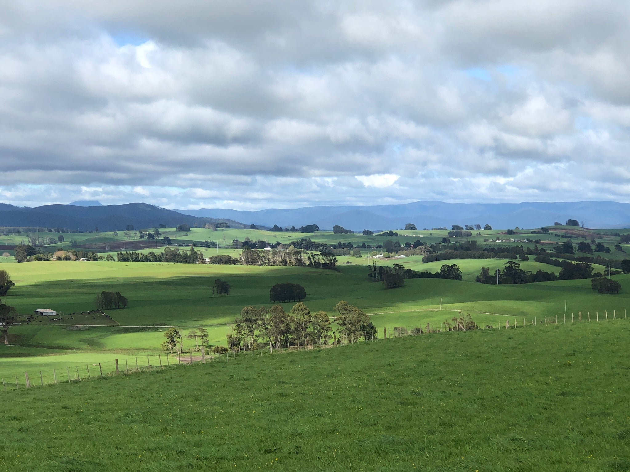 Tasmania Art Retreat  'Tassie Landscapes'  6 Nights 3 - 9 May 2026 SOLD OUT