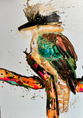 Colin Kookaburra