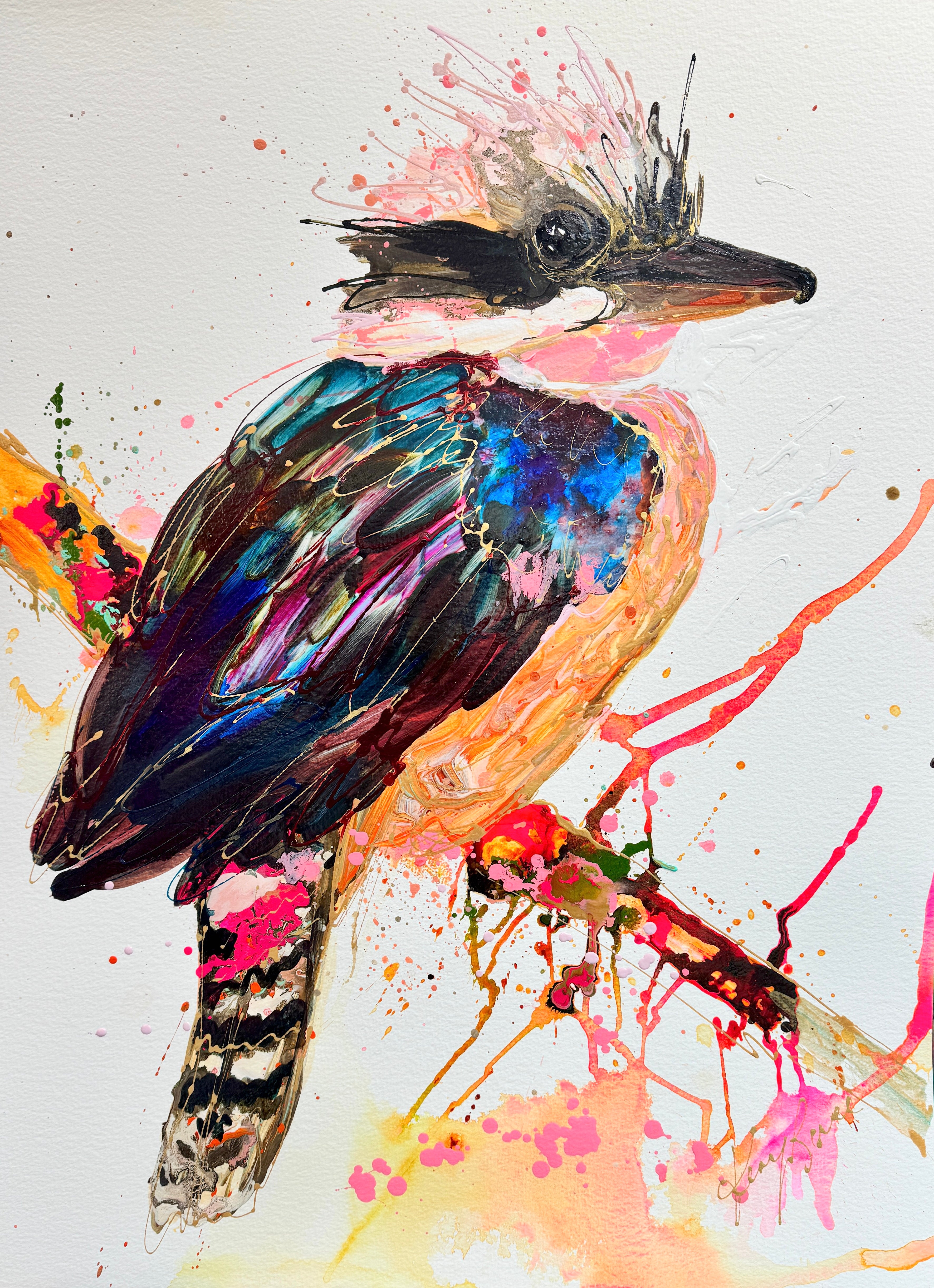 Kim Kookaburra