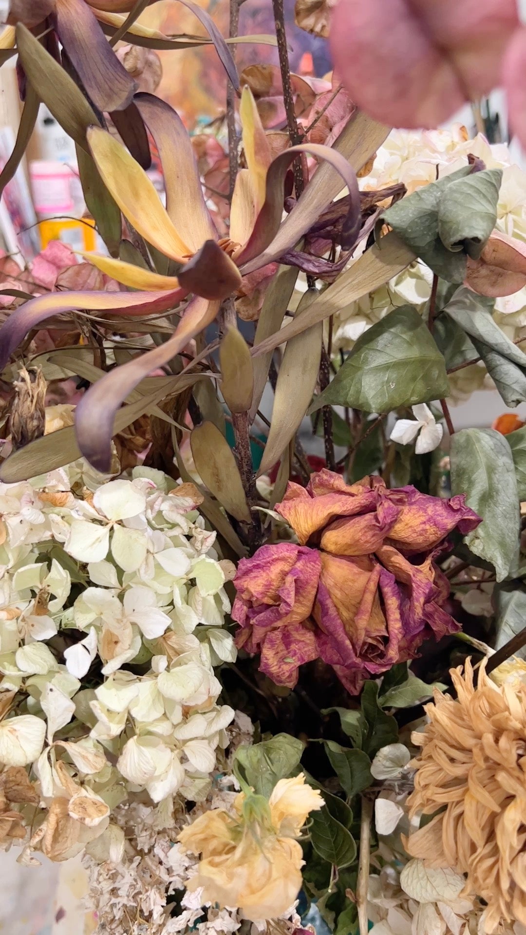 Blooms Art Workshop, Kiama,  Expression of interest for 2026