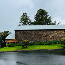 Load image into Gallery viewer, Term 3  - Kiama Art Workshop 5 week term  Fridays 21 July - 18 August 2023
