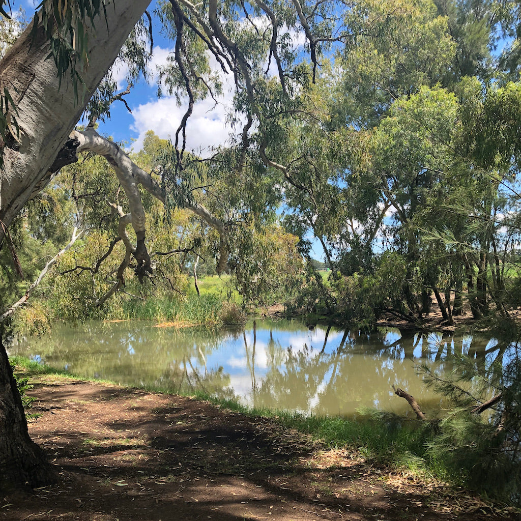 Mudgee Floral & Blooms Art Retreat  23 - 27 November 2026 $3690