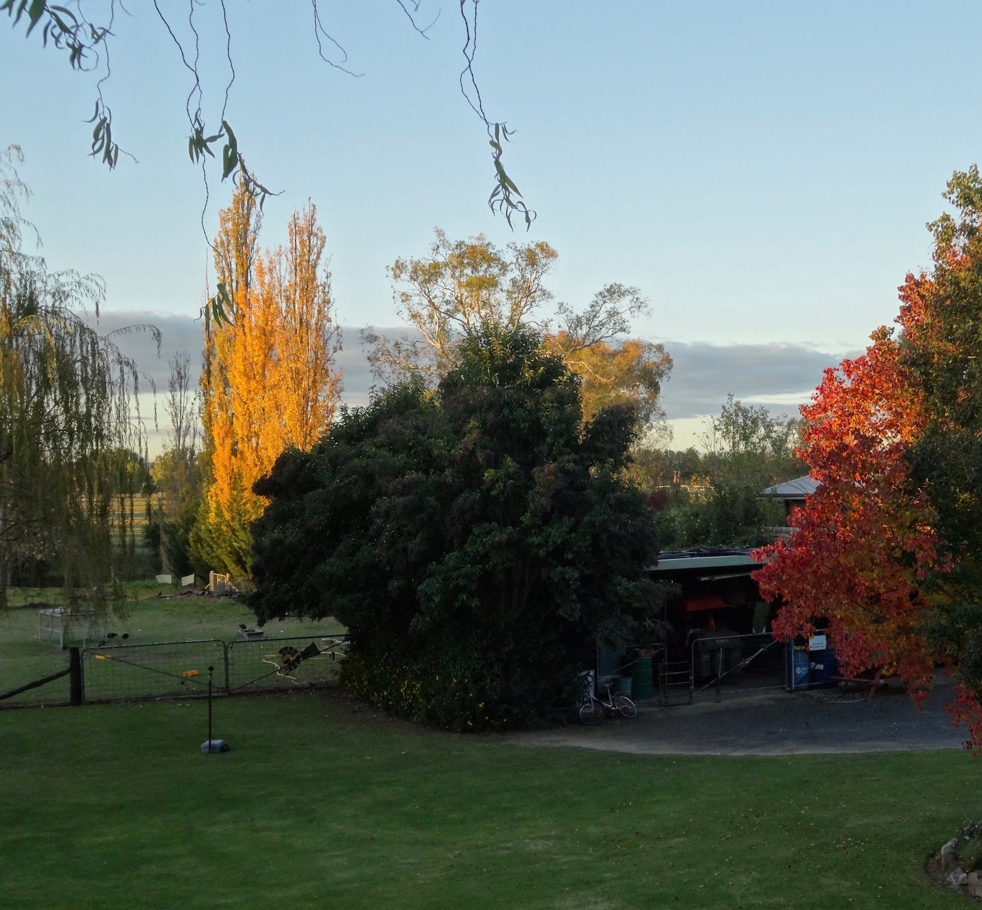 Mudgee Floral & Blooms Art Retreat  23 - 27 November 2026 $3690